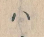 已定位𛂞