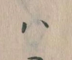 𛂞 위치 확인됨