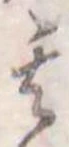 其 위치 확인됨