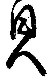已定位貝