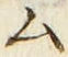 字ム