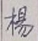 文字楊