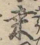 Đã định vị 桑