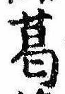 位置定マレル葛