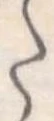 Đã định vị 𛁠