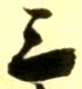 字三