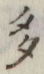 글자 多