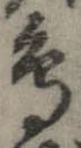 已定位鳥