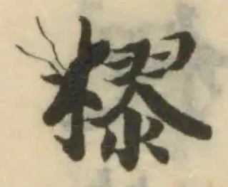 樛 위치 확인됨