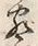 字察