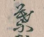 位置定マレル葉