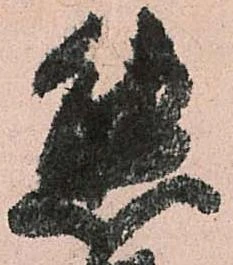 Đã định vị 態