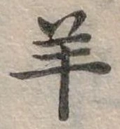 羊 위치 확인됨