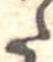 Đã định vị 𛁠
