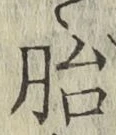 字胎