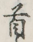 首 위치 확인됨