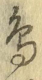 已定位鳥