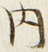 𡨸内