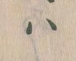 已定位𛂞