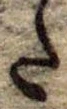𛁠 위치 확인됨