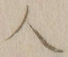 字人