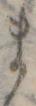 ま 위치 확인됨