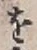 글자 を