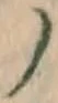 文字 ノ