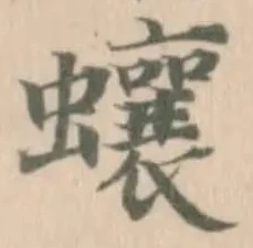 蠰 위치 확인됨