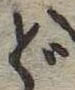 位置 確認된 ど