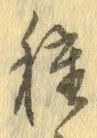 已定位種