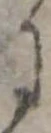 位置 確認된 𛂌