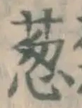 글자 葱