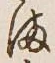 글자 ま