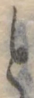 と 위치 확인됨