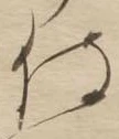 侍 위치 확인됨