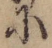 Đã định vị 𛂋