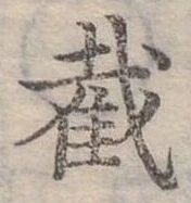位置定マレル截