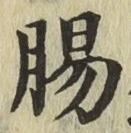 文字腸
