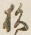 已定位杉