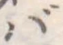 ば 위치 확인됨