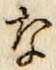 Chữ な