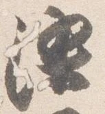 位置定マレル染