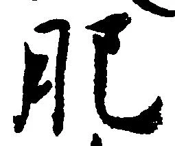 已定位肥