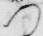 “つ”字