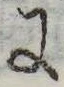 Đã định vị 𛂌