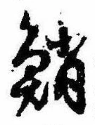 鮹の位置