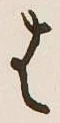 字は