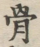 文字骨
