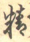 精 위치 확인됨